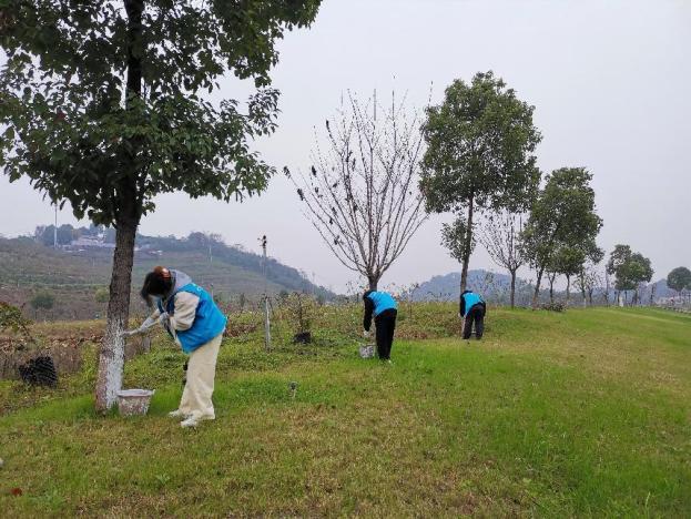 d4a42bc7005eaec090b323697998300