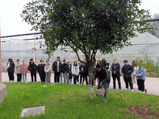 2f5e579cf55e4ef69636b56787106fe