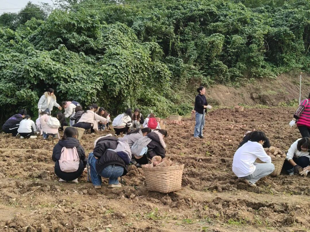 3fecd5c7b2d4314a9a1a067bc29ec5d7.jpg 3fecd5c7b2d4314a9a1a067bc29ec5d7.jpg